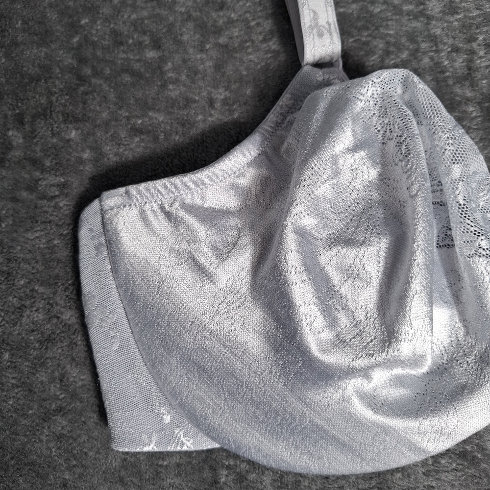 Lunaire Windsor  Lace Floral Satin Bra Underwire Silver 40D NWT - Picture 4 of 11